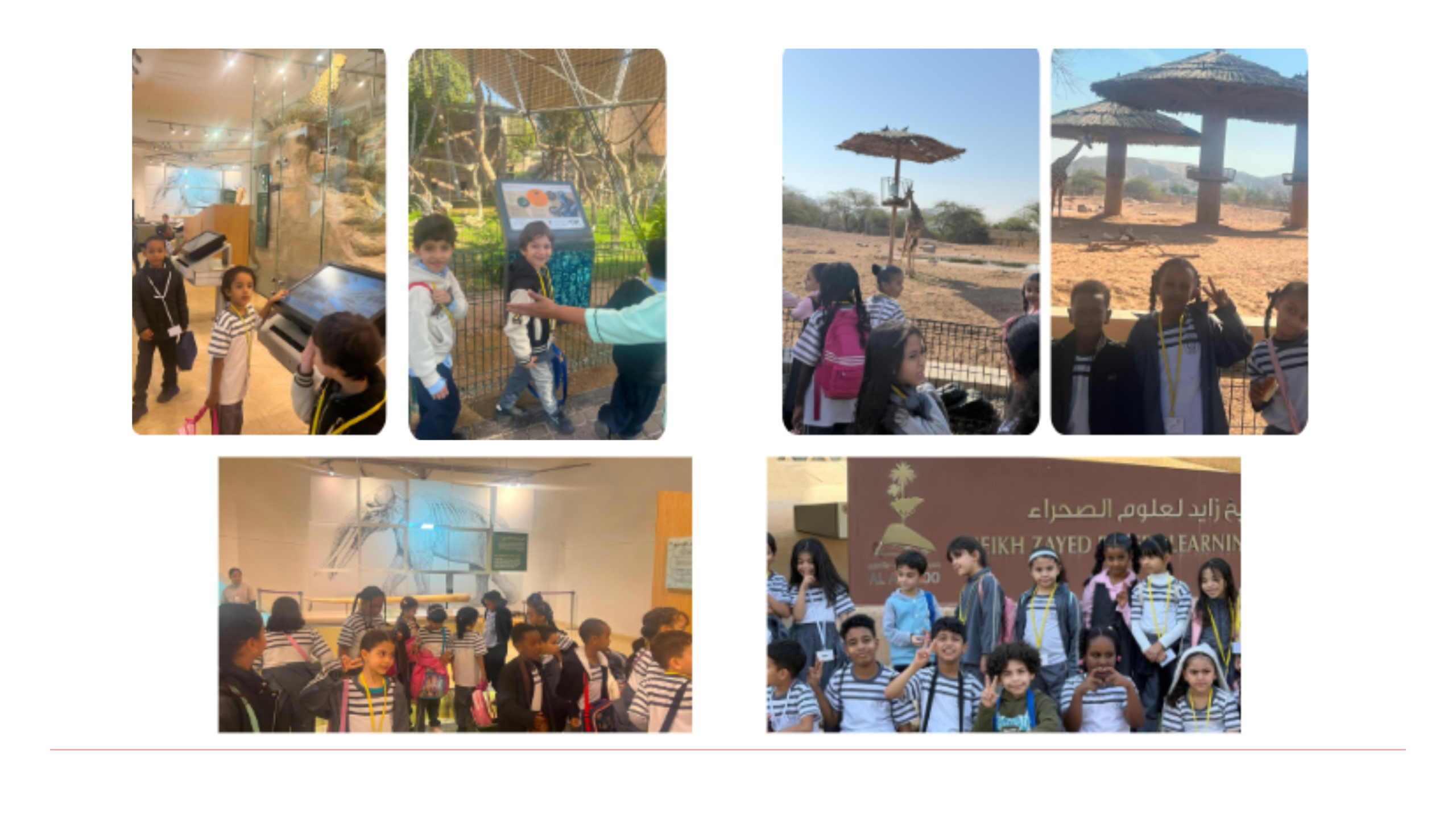 رحلة تعليمية إلي حديقة الحيوان 2026/2025